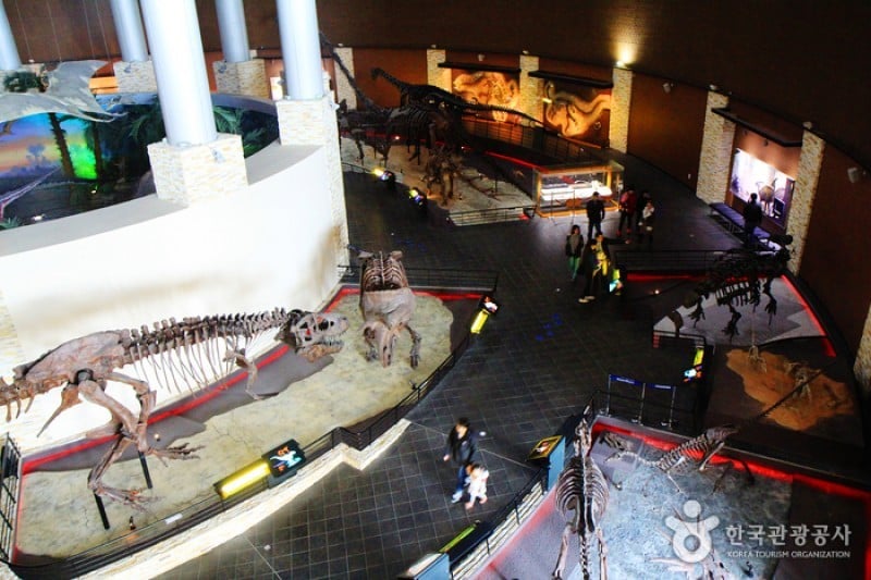 Haenam Uhangri Dinosaur Museum  (25/28)