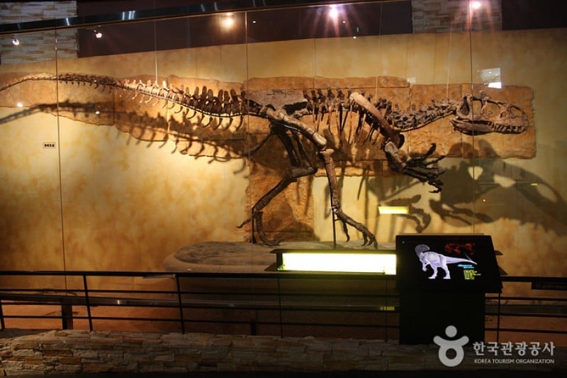 Haenam Uhangri Dinosaur Museum  (26/28)