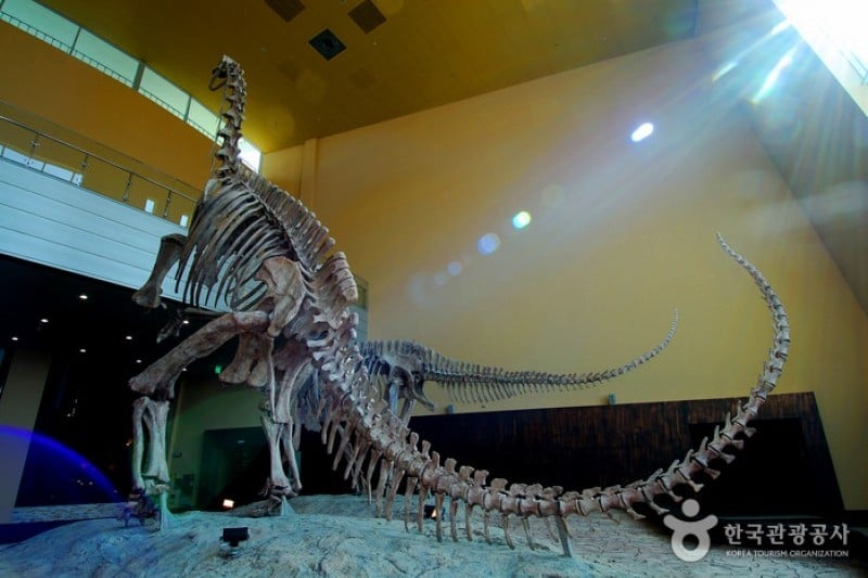 Haenam Uhangri Dinosaur Museum  (27/28)