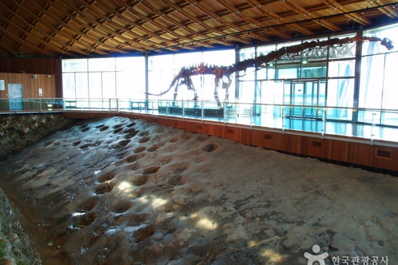 Haenam Uhangri Dinosaur Museum  (28/28)