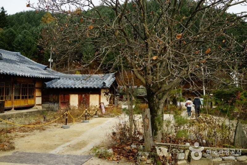 Birthplace of Lee Hyo-seok  (23/24)