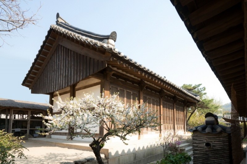 Namsangol Hanok Village  (28/31)