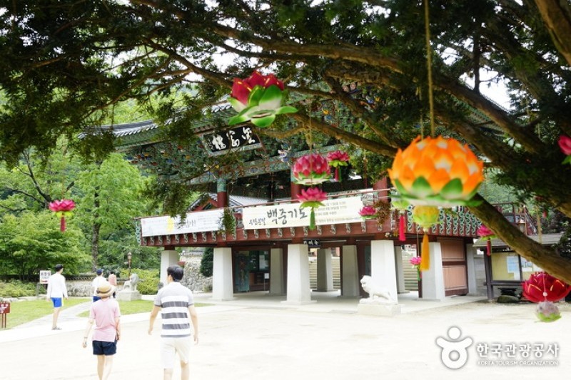Woljeongsa Temple  (51/51)