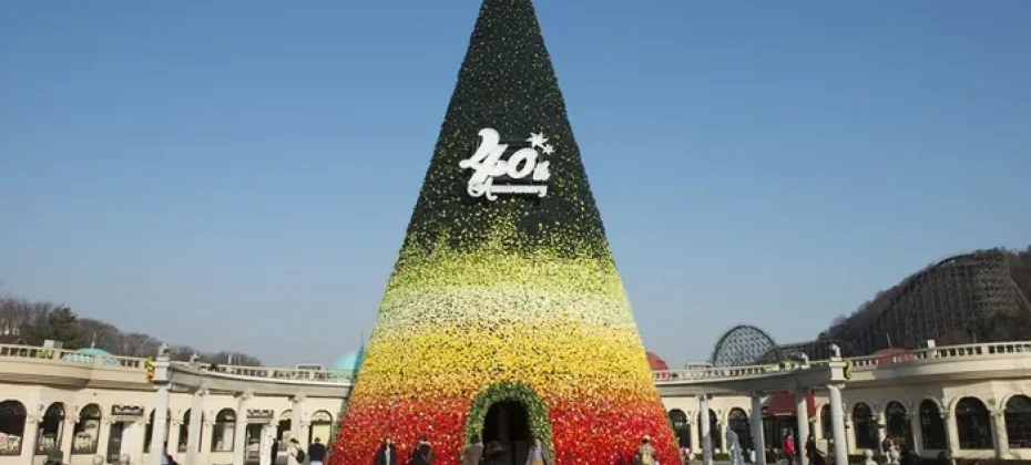 Everland Daily Pass Discount Ticket (50/51)