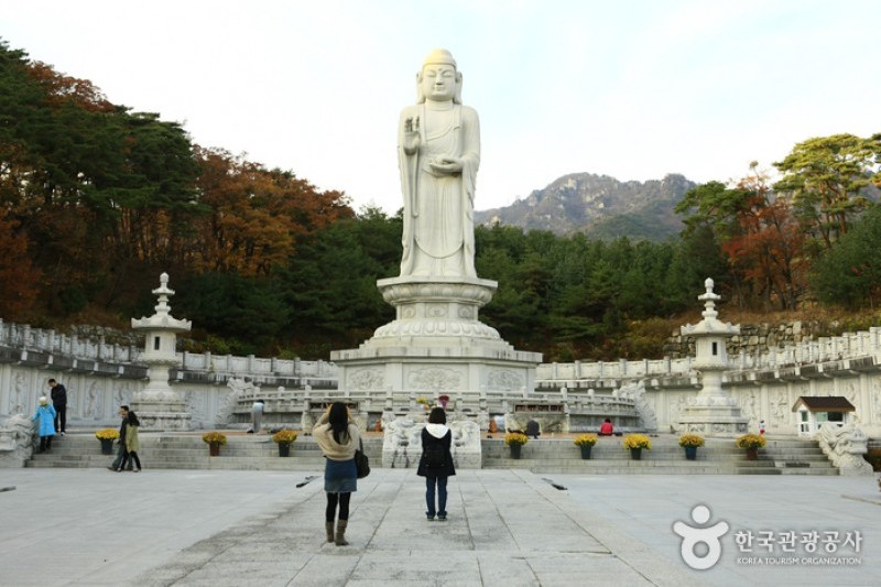 Donghwasa Temple  (11/14)