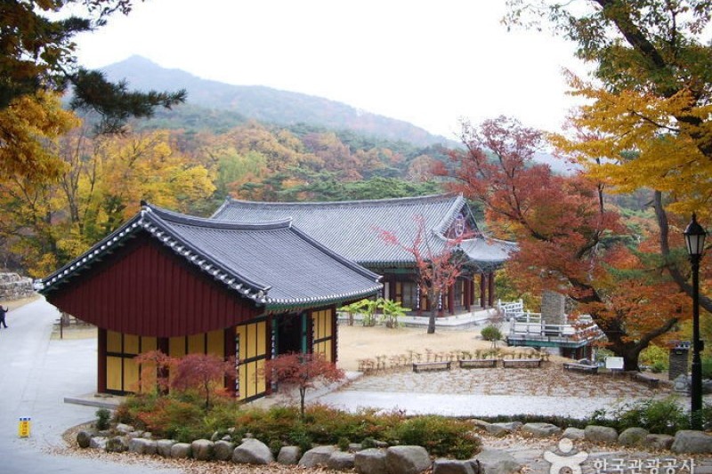 Donghwasa Temple  (13/14)