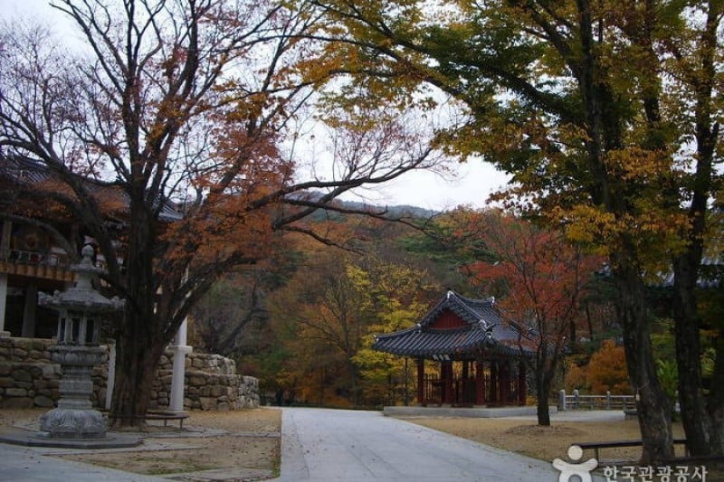 Donghwasa Temple  (14/14)