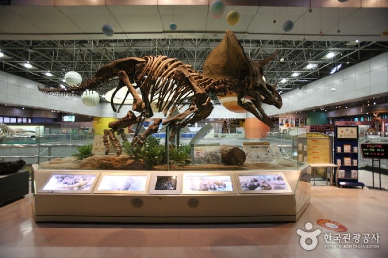 National Science Museum  (1/44)