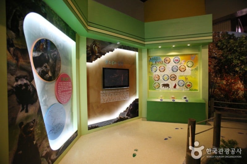 National Science Museum  (6/44)