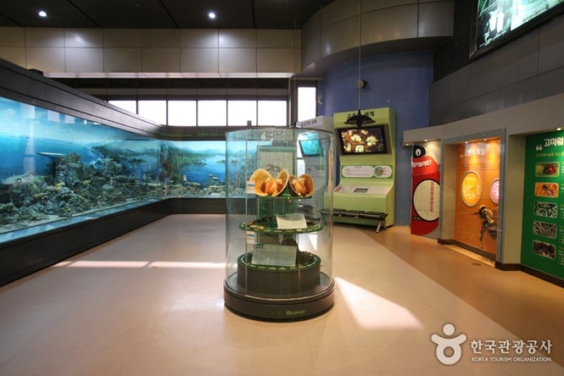 National Science Museum  (7/44)