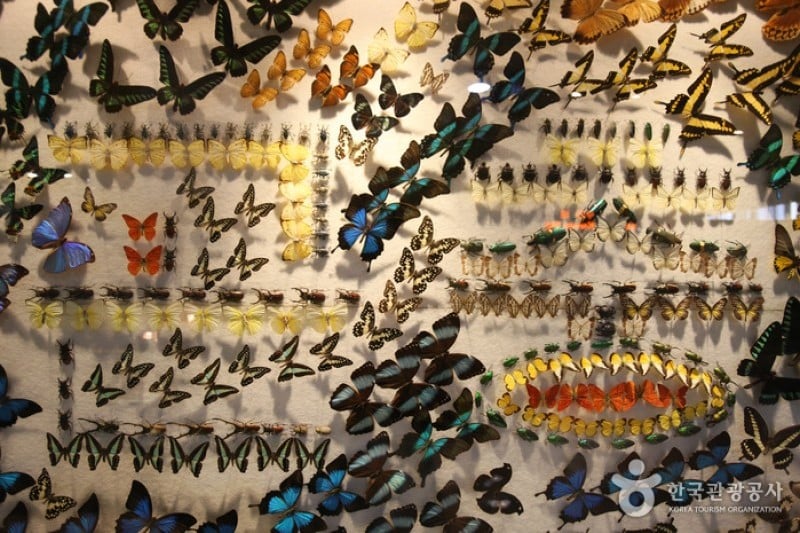 National Science Museum  (8/44)