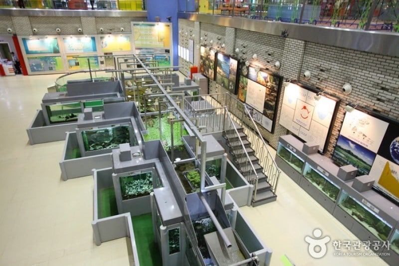 National Science Museum  (17/44)
