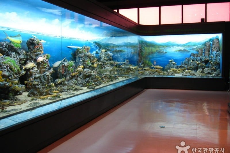 National Science Museum  (25/44)