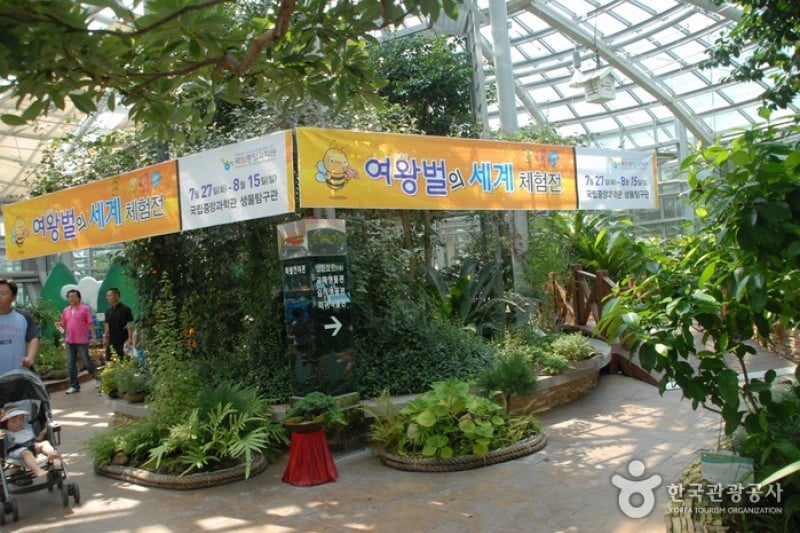 National Science Museum  (34/44)