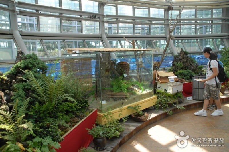 National Science Museum  (35/44)
