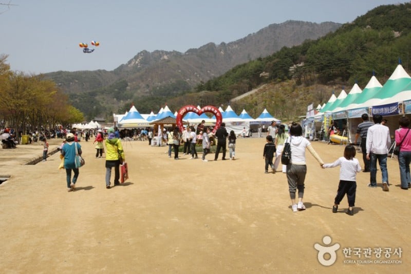 Mungyeong Traditional Chasabal Festival 