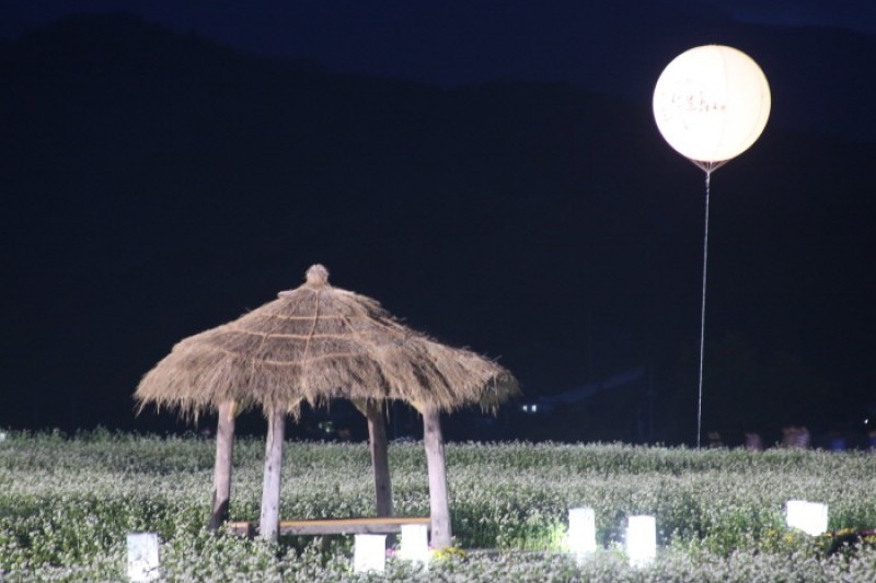 Hyoseok Cultural Festival  (7/7)