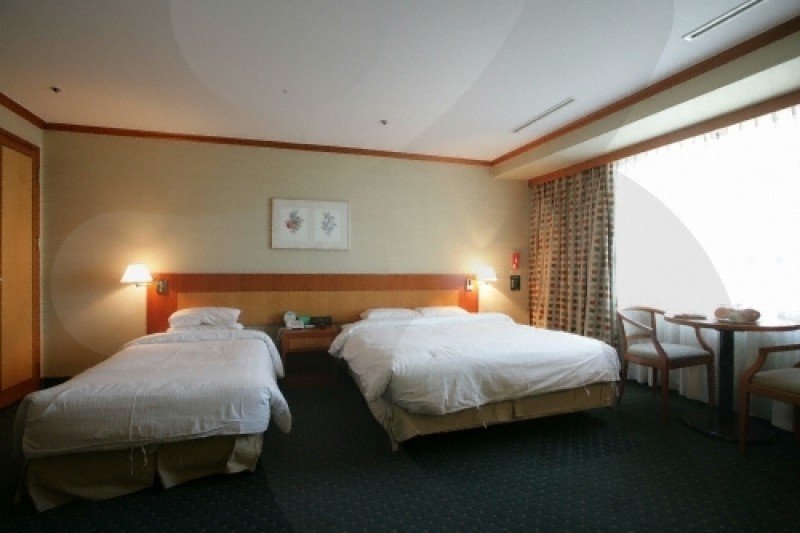 Yousung Hotel  (14/31)