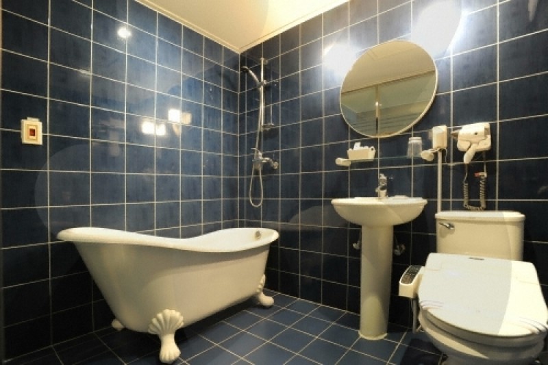 Eldis Regent Hotel  (19/23)