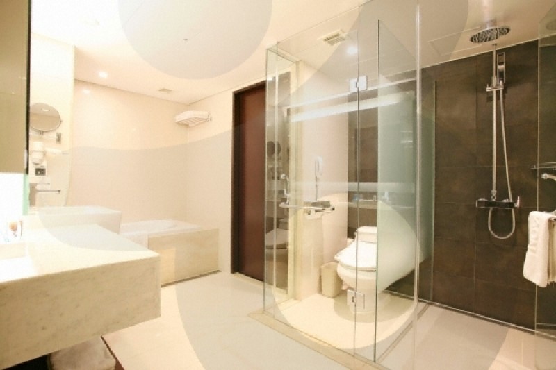 Novotel Daegu City Center  (41/46)