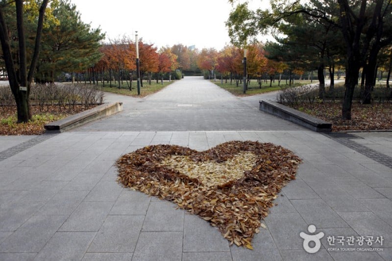 Seoul Forest (30/34)