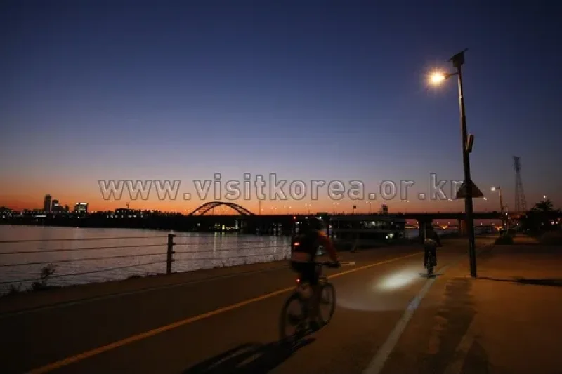 Mangwon Hangang Park  (21/32)