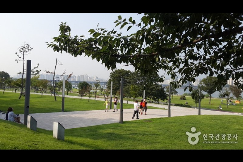 Yeouido Hangang Park (7/12)