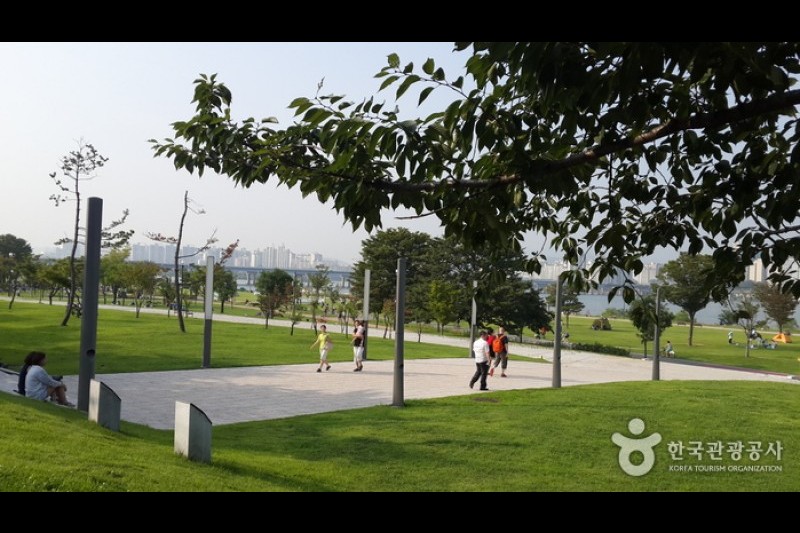 Yeouido Hangang Park (8/12)