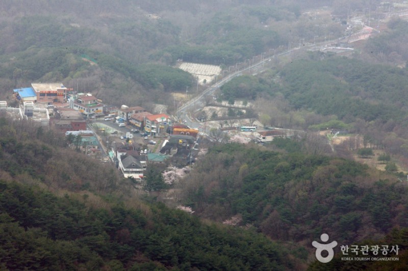 Palgongsan Natural Park  (1/5)