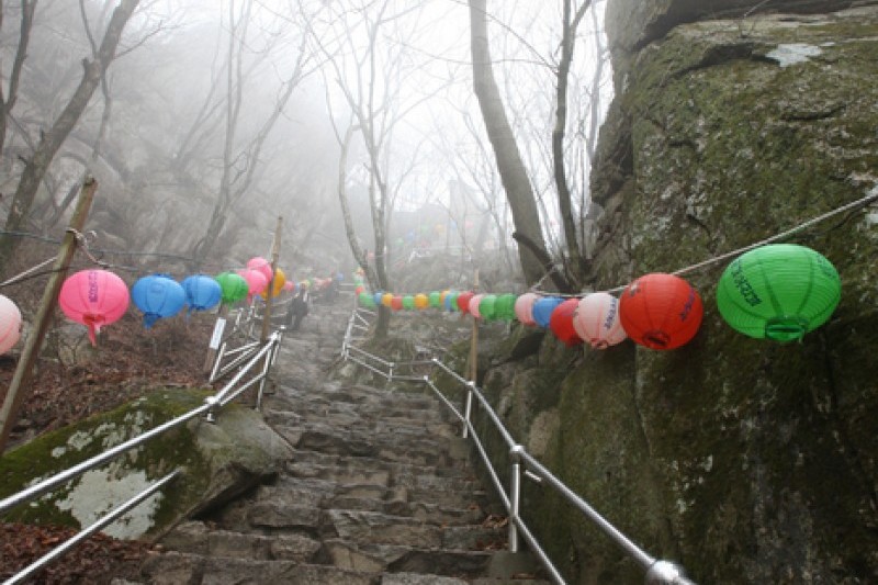 Palgongsan Natural Park  (2/5)