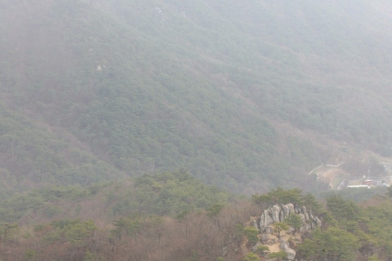 Palgongsan Natural Park  (3/5)