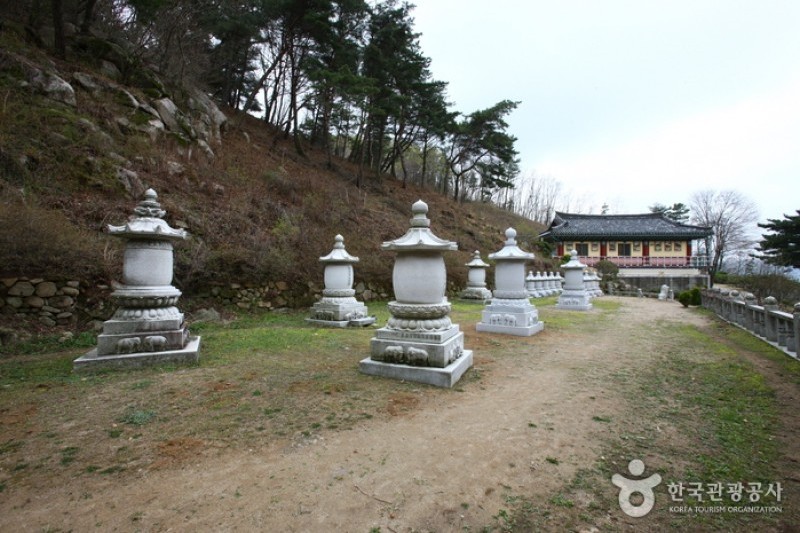Palgongsan Natural Park  (5/5)