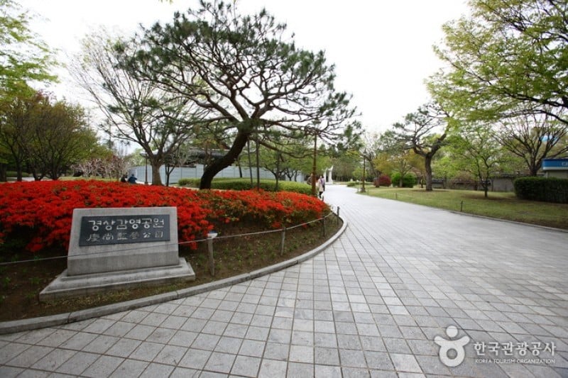 Gyeongsanggamnyeong Park  (1/13)