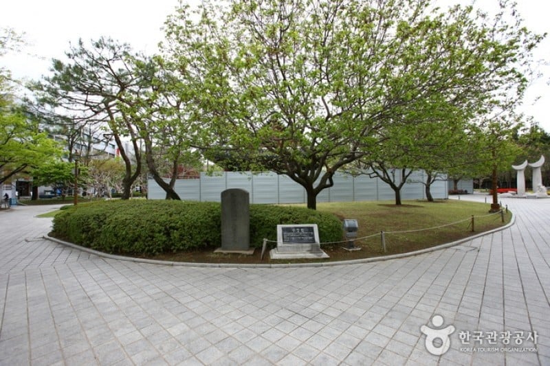 Gyeongsanggamnyeong Park  (2/13)