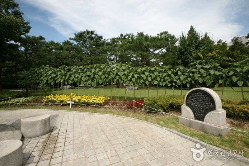 Gyeongsanggamnyeong Park  (13/13)