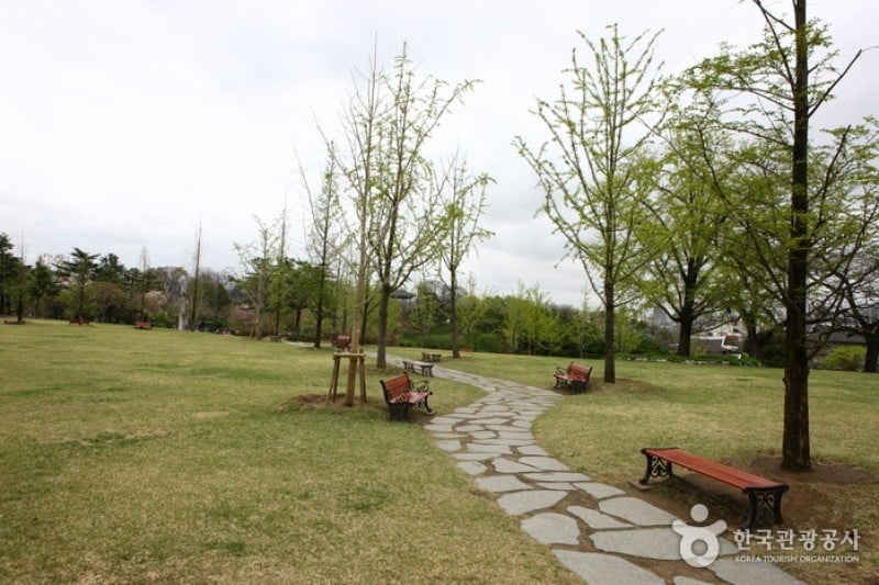 Daegu Dalseong Park  (2/24)