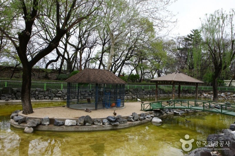 Daegu Dalseong Park  (3/24)