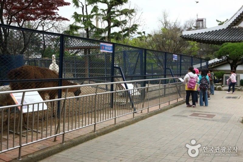 Daegu Dalseong Park  (5/24)