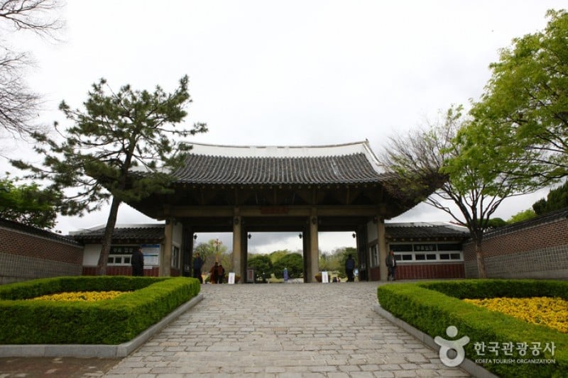 Daegu Dalseong Park  (6/24)