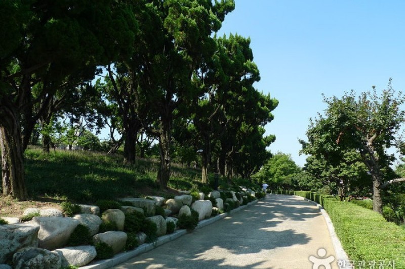 Daegu Dalseong Park  (8/24)