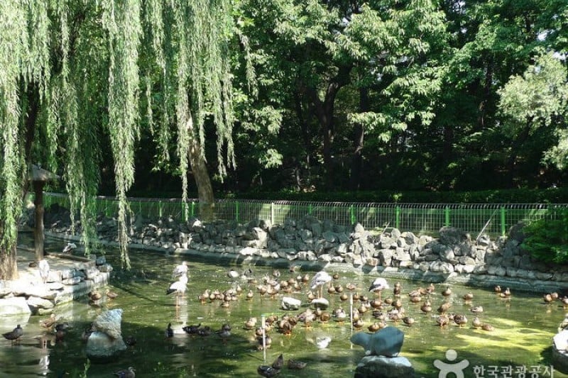 Daegu Dalseong Park  (12/24)