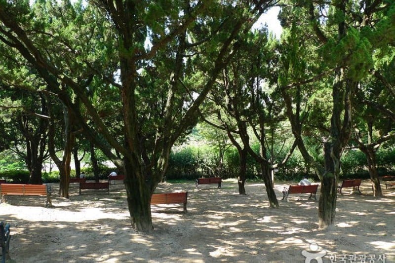 Daegu Dalseong Park  (14/24)