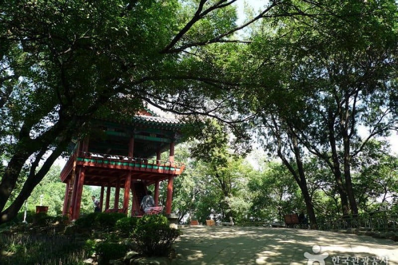 Daegu Dalseong Park  (15/24)