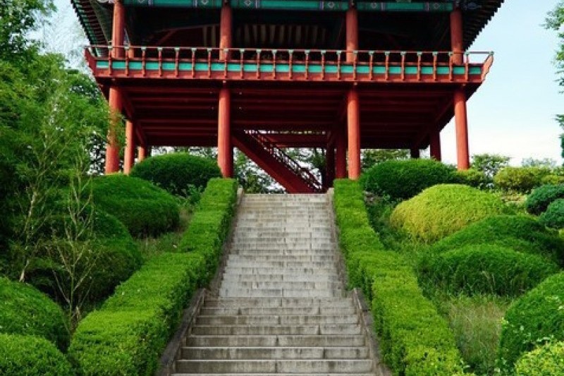 Daegu Dalseong Park  (23/24)