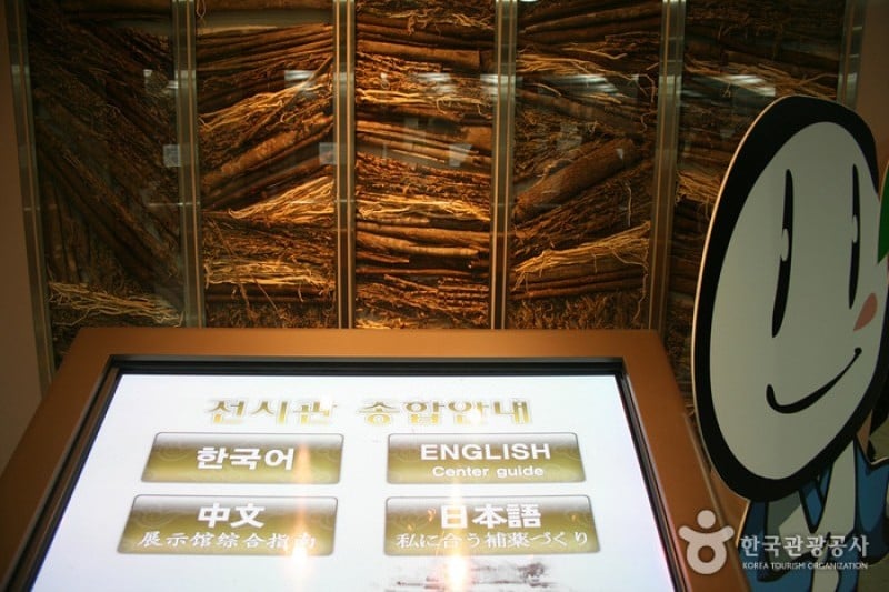 Daegu Yangnyeongsi Oriental Medicine Cultural Center  (2/22)