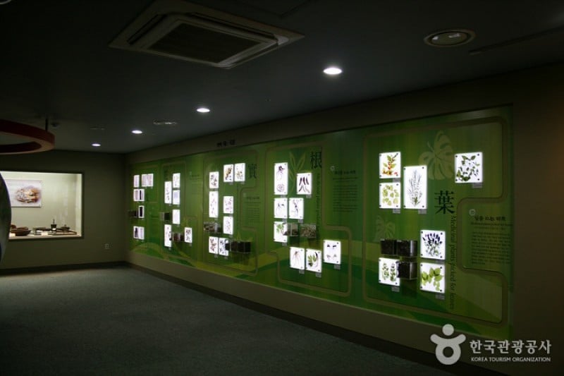 Daegu Yangnyeongsi Oriental Medicine Cultural Center  (5/22)