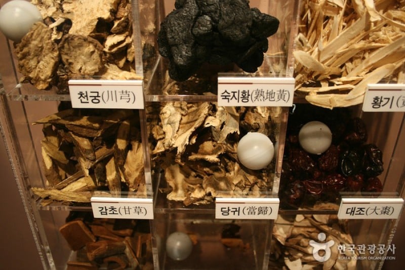 Daegu Yangnyeongsi Oriental Medicine Cultural Center  (9/22)