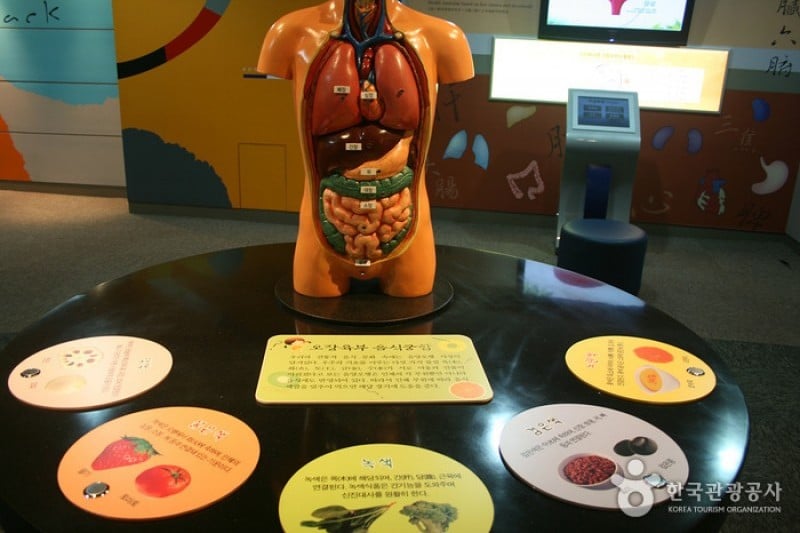 Daegu Yangnyeongsi Oriental Medicine Cultural Center  (10/22)