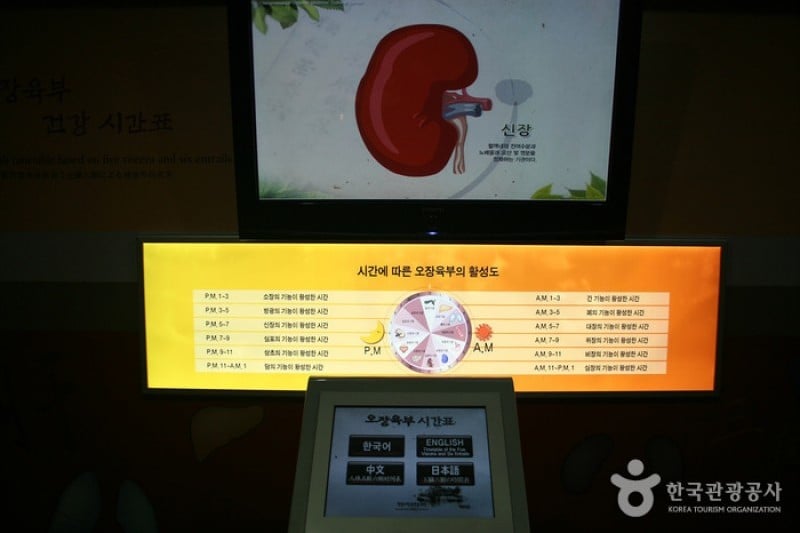 Daegu Yangnyeongsi Oriental Medicine Cultural Center  (11/22)
