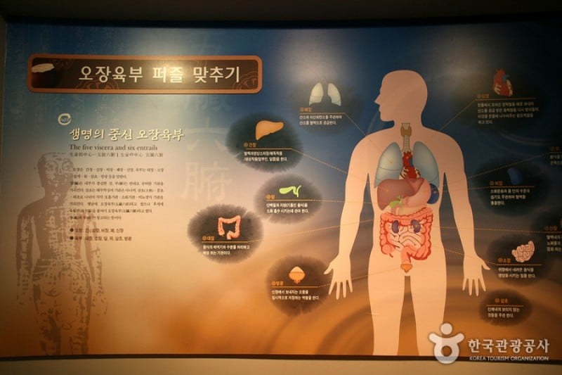 Daegu Yangnyeongsi Oriental Medicine Cultural Center  (12/22)